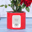 Loveable Roses