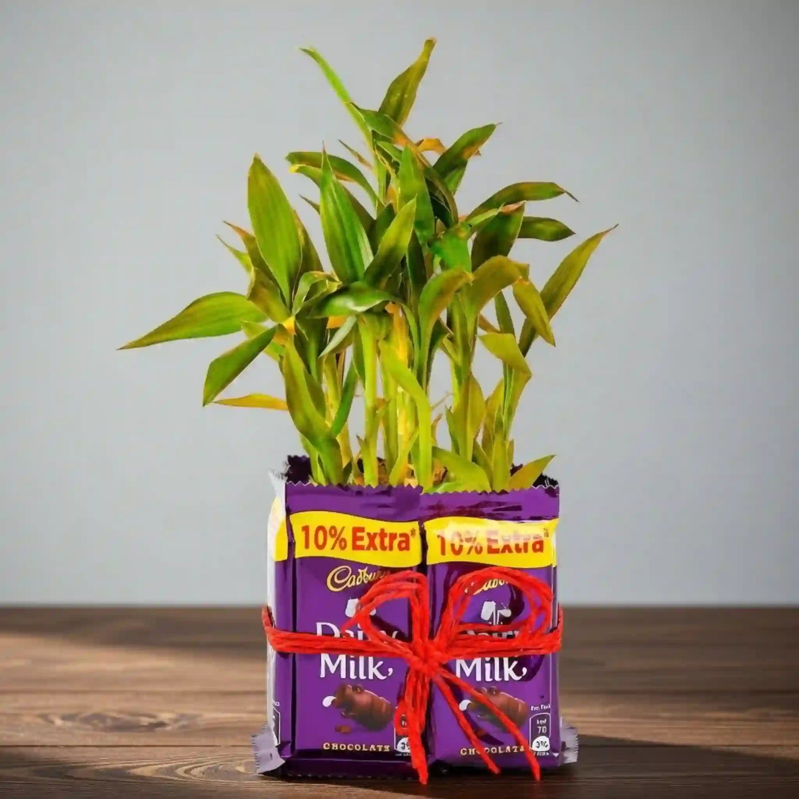 Exquisite 2 Layer Bamboo with 8 Chocolates