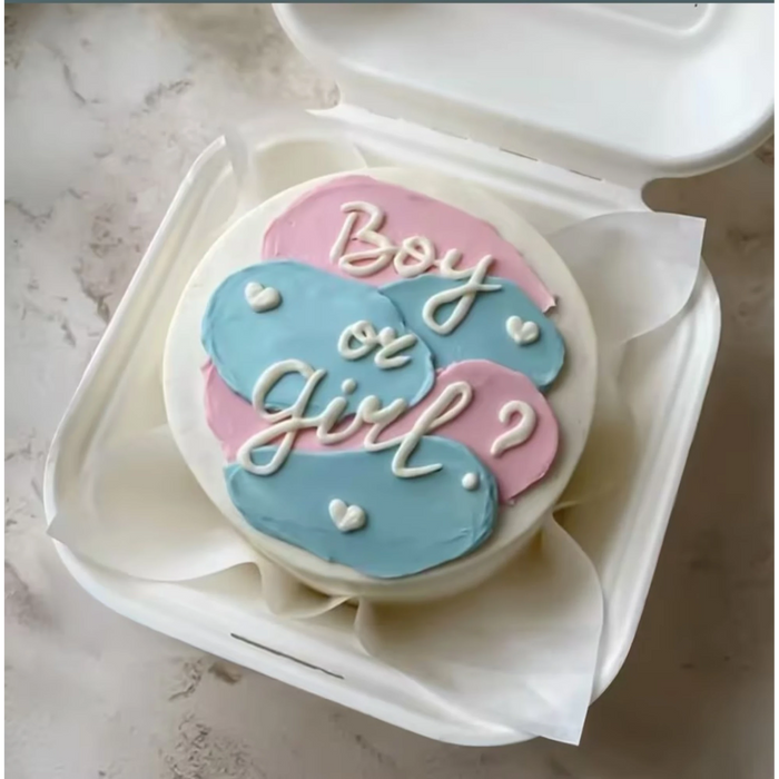 Boy or Girl Mini Surprise Cake with pastel pink and blue icing, decorated with white icing text