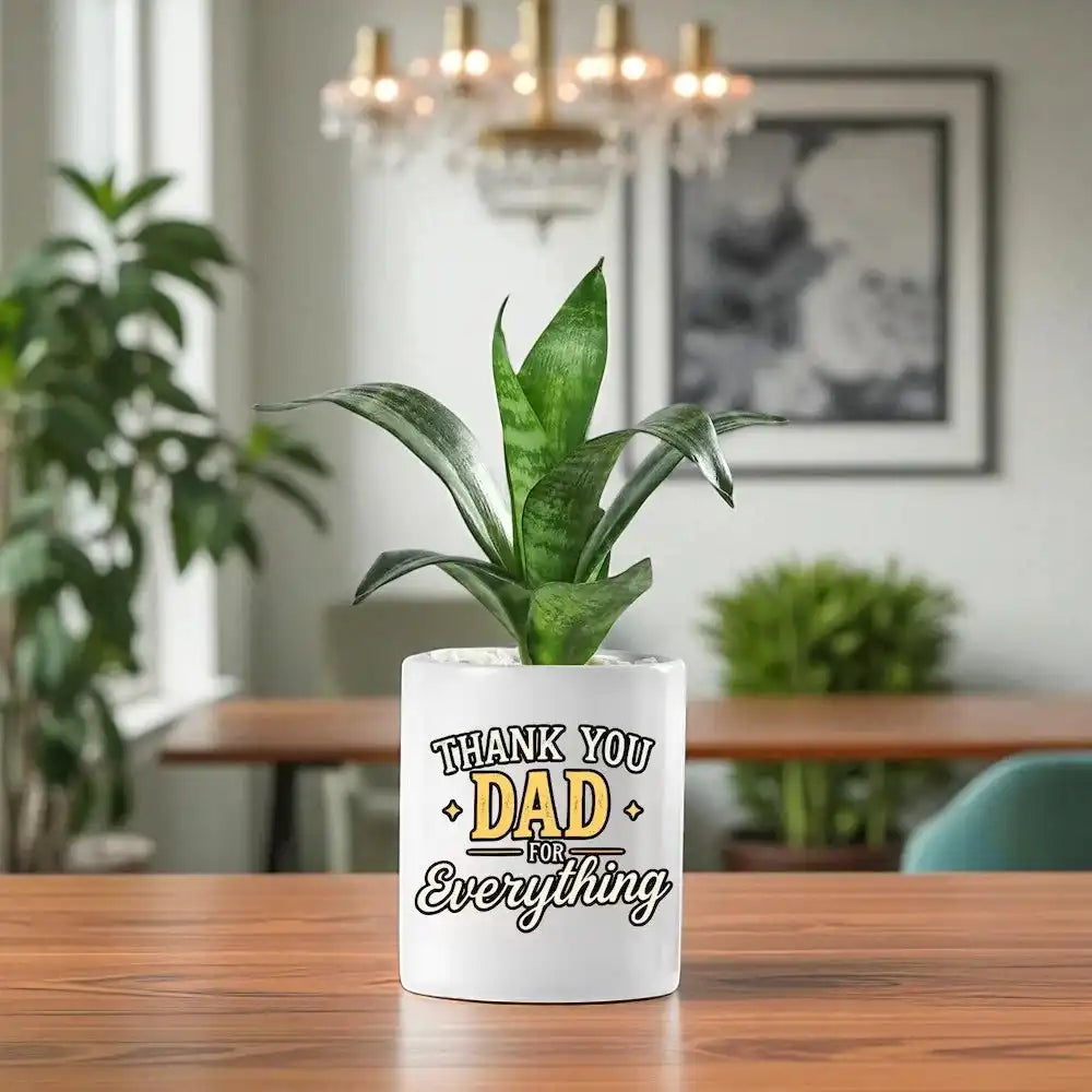 Sansaveria Plant With Dad for Everything Pot