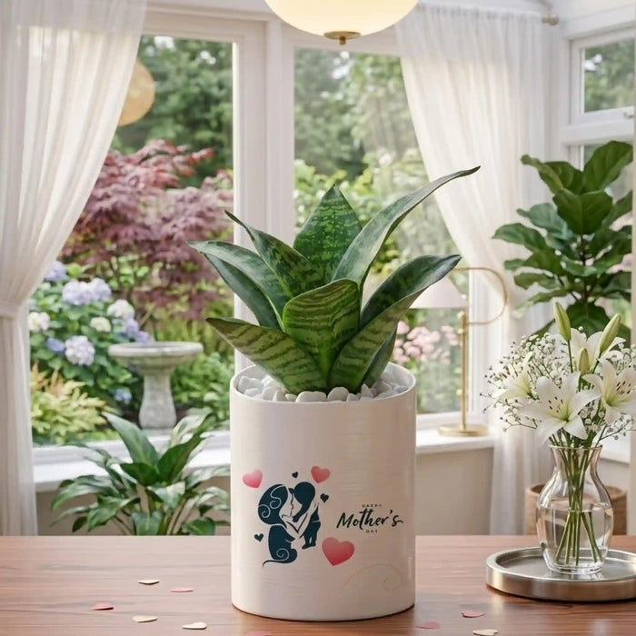 Mothers Day Greetings Golden Money Plant