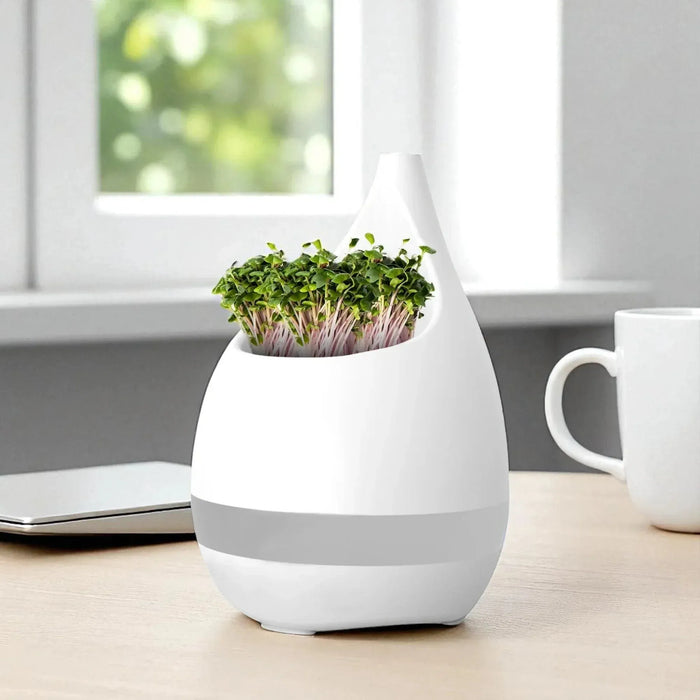 Sprout Planter & Pen Stand for Modern Desks